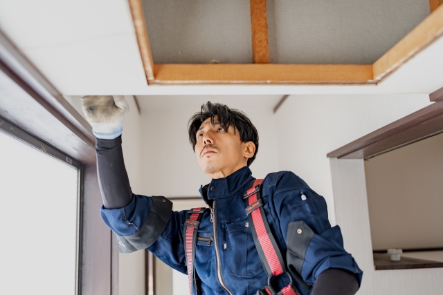 天井の電気工事